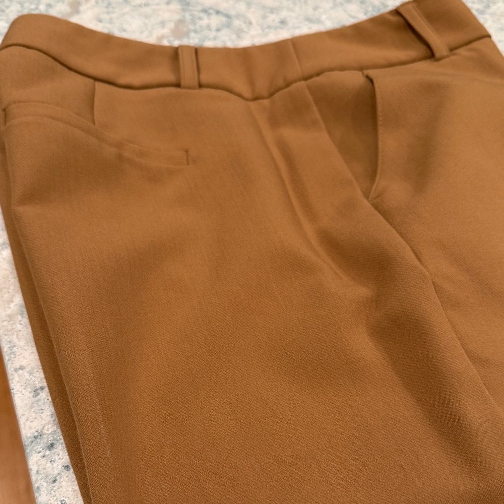 Jones Wear Women's Cropped Pants in Brown